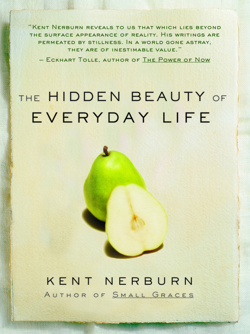 Cover image for The Hidden Beauty of Everyday Life